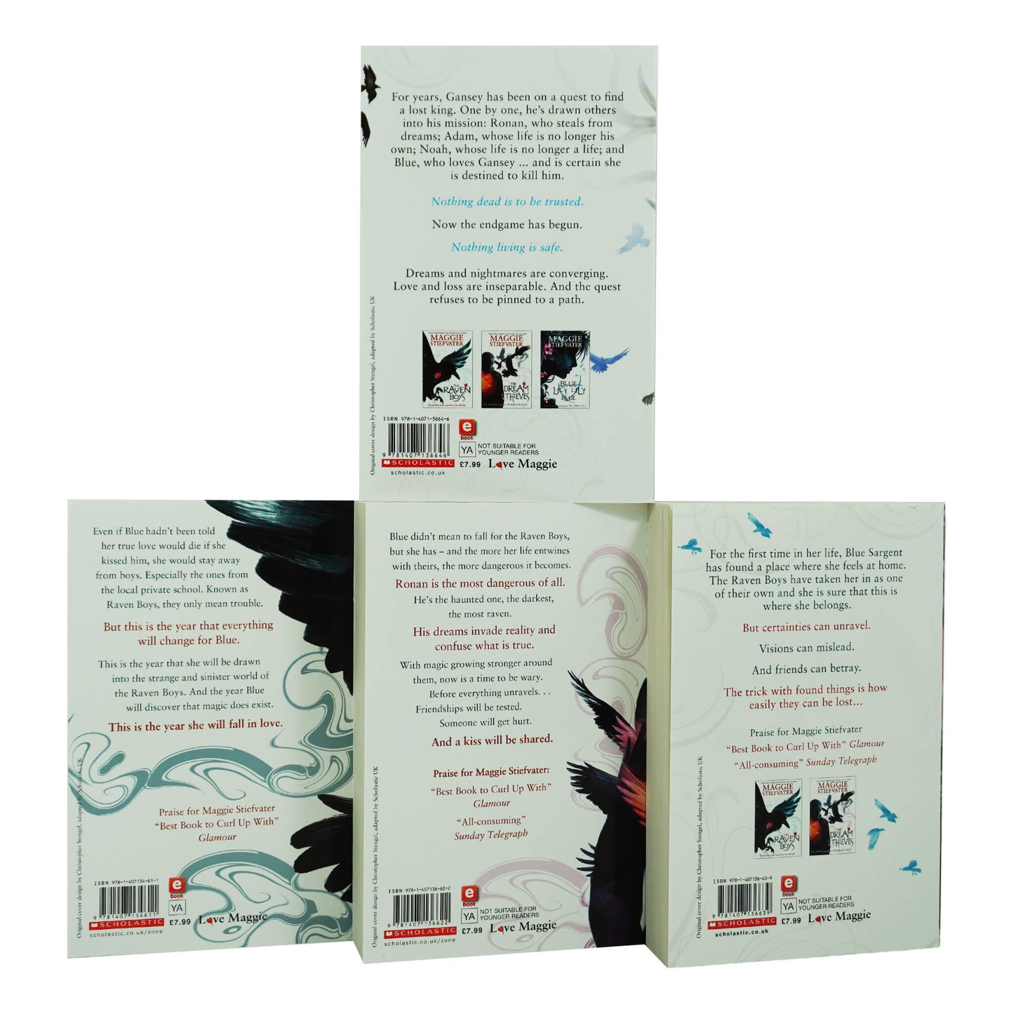 The Raven Cycle Series 4 Books Collection Box Set by Maggie Stiefvater - Ages 13+ - Paperback